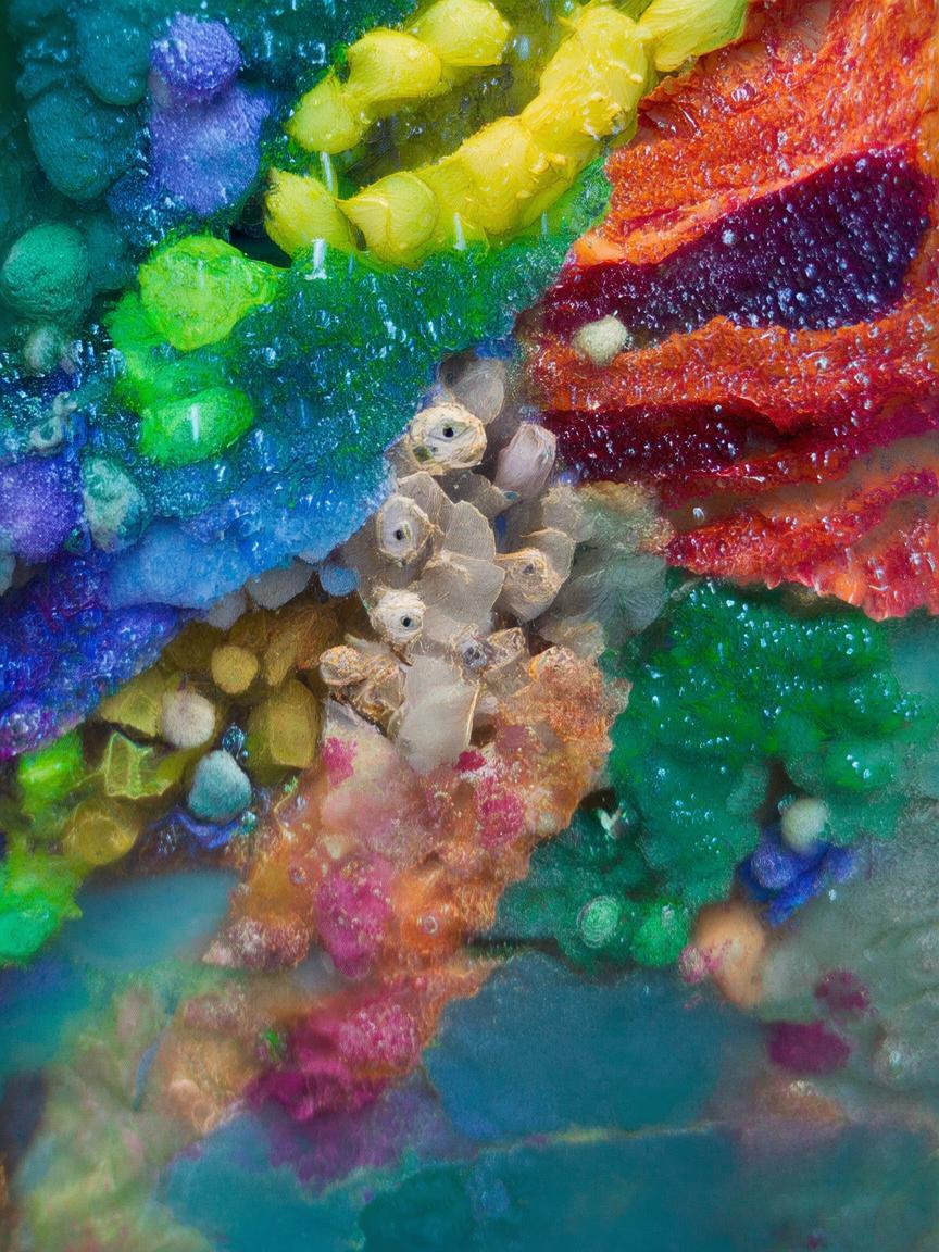 抖音送什么涨粉丝等级_抖音送何物提升粉丝等级?插图 抖音送什么涨粉丝等级_抖音送何物提升粉丝等级?插图